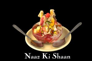 naaz_ki_shaan